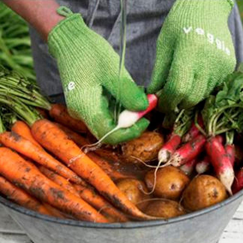 Luva Multiuso e Esfoliadora Cozinha Lavar Legumes Frutas